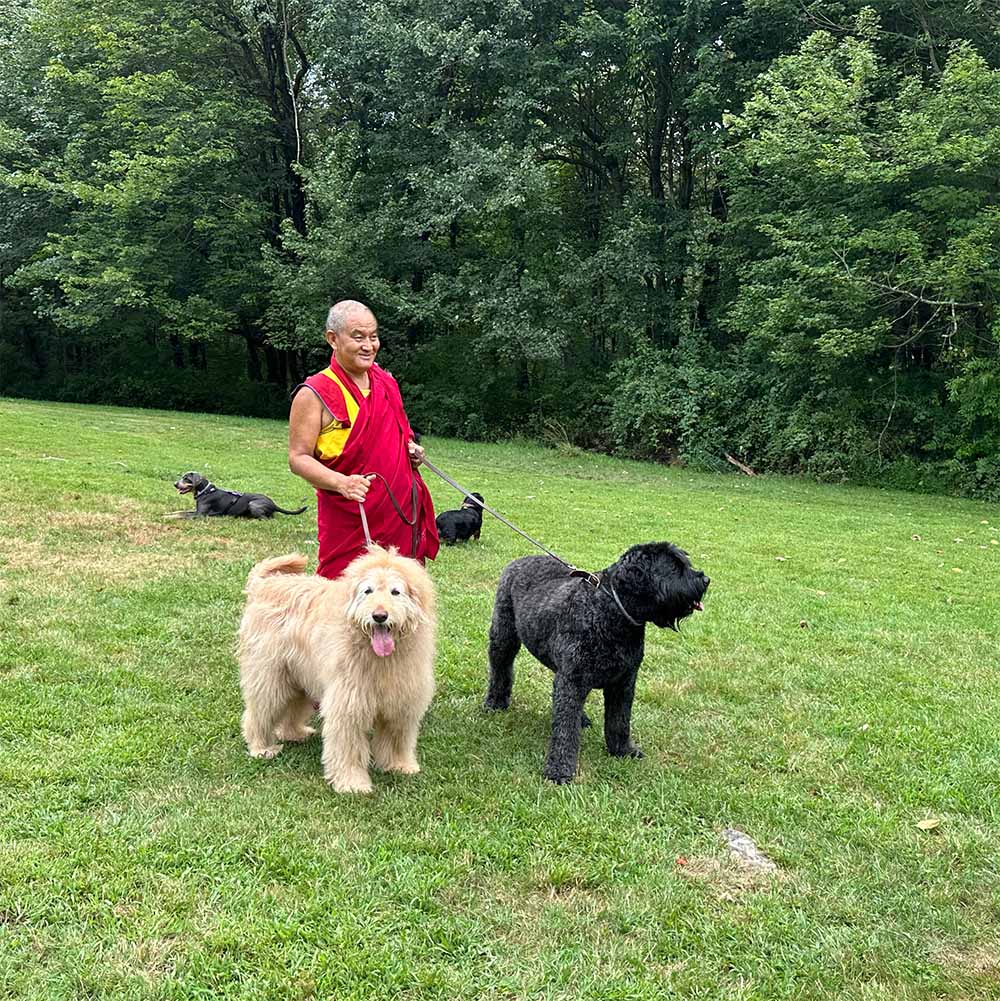 Annual Buddhist Animal Blessing